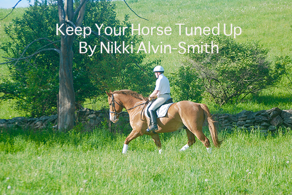 Keep Your Horse Tuned Up
By Nikki Alvin-Smith
