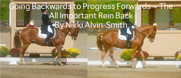 Going Backwards to Progress Forwards ~ The All Important Rein Back
By Nikki Alvin-Smith
