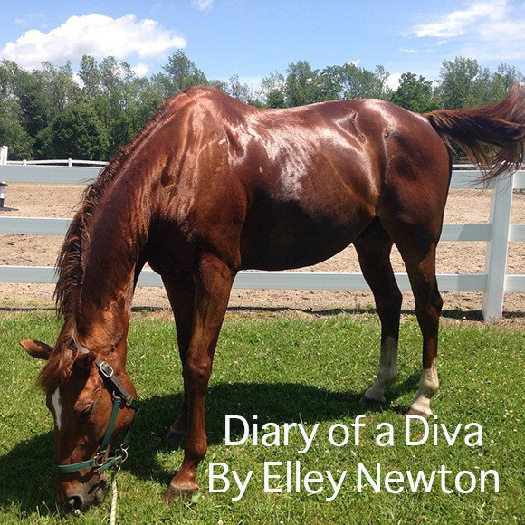 Diary of a Diva
By Elley Newton