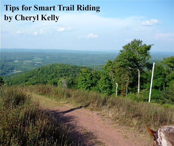 Tips for Smart Trail Riding
by Cheryl Kelly