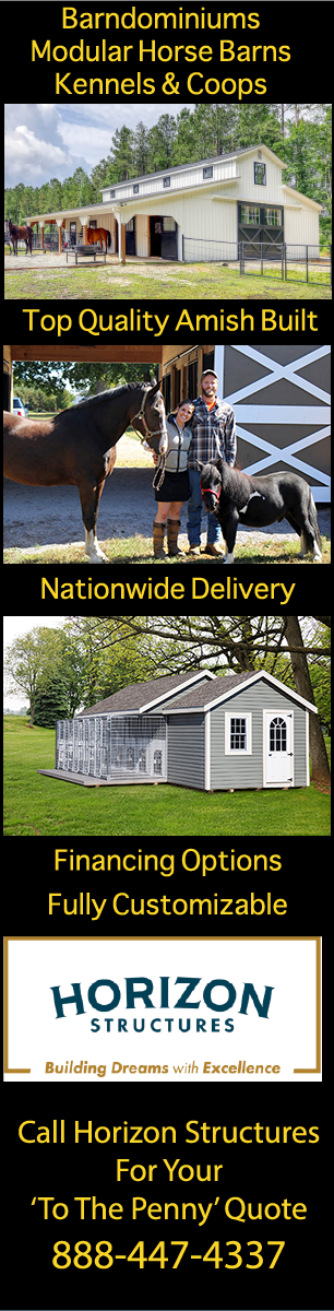 Horizon Structures LLC