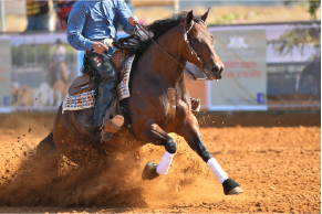 New classes, concert & $1.5M in cash/prizes on tap for 2026 APHA World Show