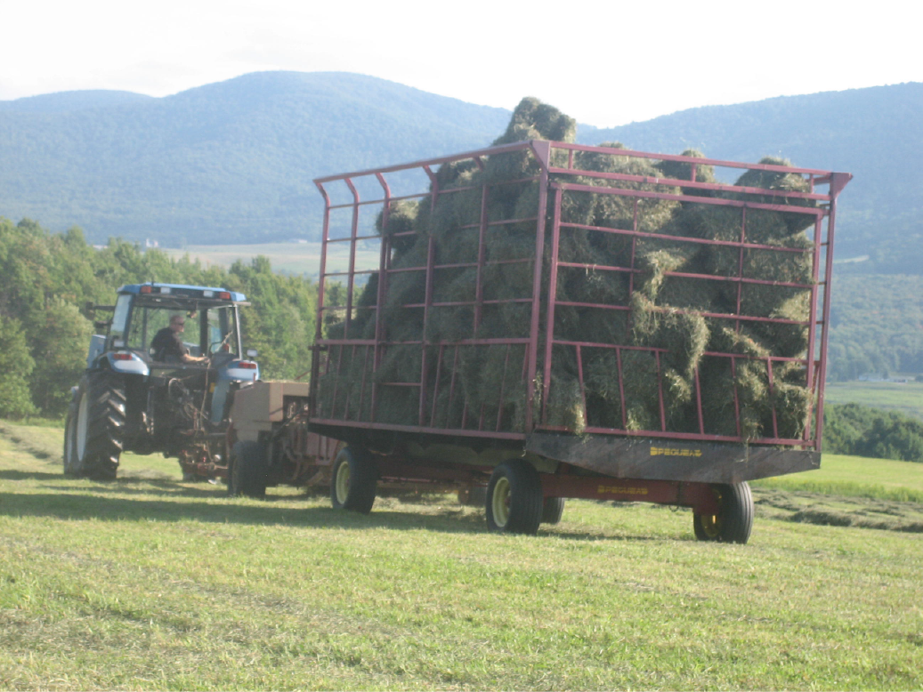 Bailing Small Squares