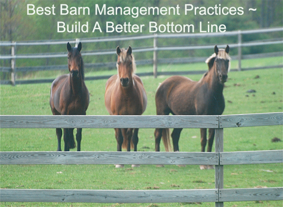 Best Barn Management Practices ~ Build A Better Bottom Line Best Barn Management Practices ~ Build A Better Bottom Line