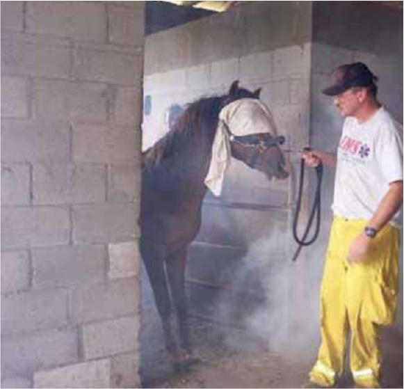 Disasters Happen ~ Equine Emergency Preparedness Disasters Happen ~ Equine Emergency Preparedness