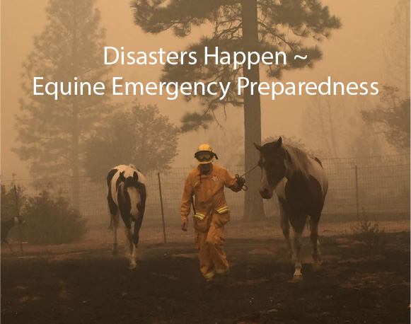 Disasters Happen ~ Equine Emergency Preparedness Disasters Happen ~ Equine Emergency Preparedness