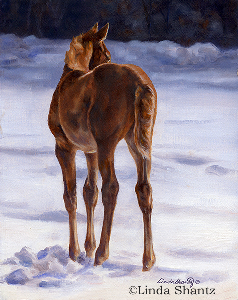 The World of Equine Art by Juliet R. Harrison Gracie Knows by Linda Shantz