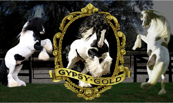 What’s In A Name? The Gypsy Vanner Revealed What’s In A Name? The Gypsy Vanner Revealed