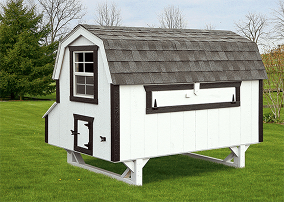 Is One Chicken As Good As Another Horizon Structures Chicken Coop