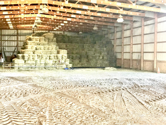 Horse Hay ~ The Smart and Safe Way Horse Hay ~ The Smart and Safe Way