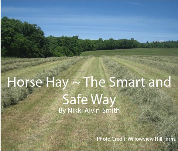Horse Hay ~ The Smart and Safe Way Horse Hay ~ The Smart and Safe WayBy Nikki Alvin-Smith