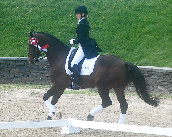 Set Up Your Show Season For Success Lap of honor