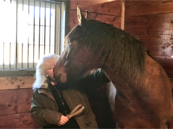 When to Start Your Homebred Horse Nikki and Snoopy