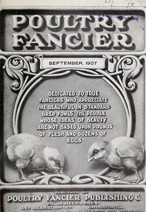 Is One Chicken As Good As Another? Poultry Fancier September 1907