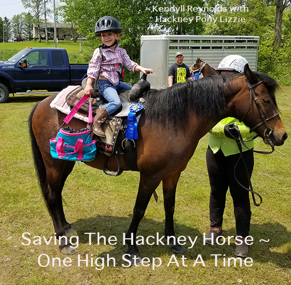 Saving The Hackney Horse ~ One High Step At A Time Kendyll Reynolds with Hackney Pony Lizzie