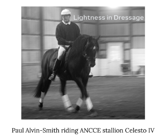 The Spanish Riding School Of Vienna – In The News For All The Wrong Reasons