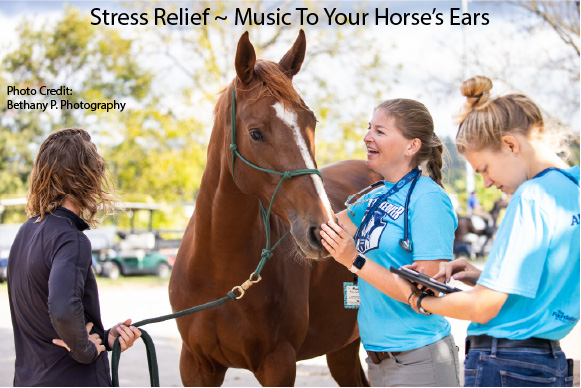 Stress Relief ~ Music To Your Horse’s Ears Stress Relief ~ Music To Your Horse’s Ears