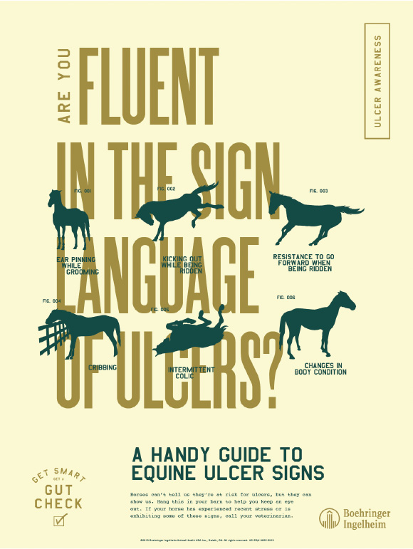 Poster Stress Relief ~ Music To Your Horse’s Ears