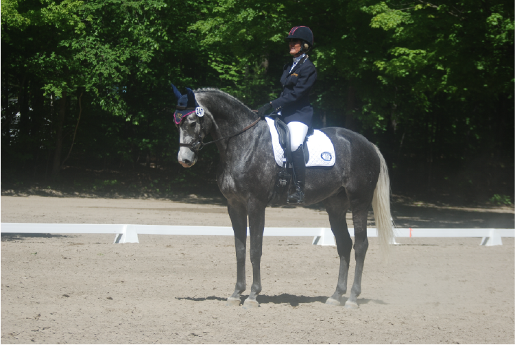 The Dressage Center Line Scurry The Dressage Center Line Scurry