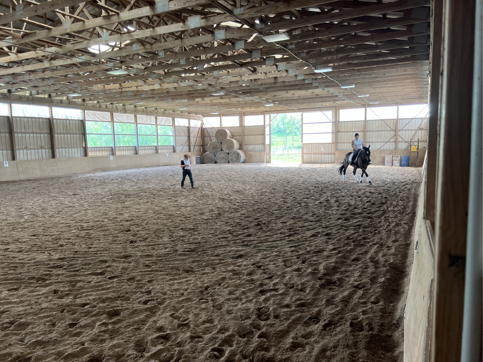 The Glorious Indoor Arena ~ I Want One But How Can I Afford It? The Glorious Indoor Arena ~ I Want One But How Can I Afford It?