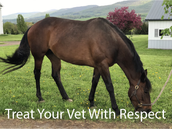 Treat Your Vet With Respect Treat Your Vet With Respect