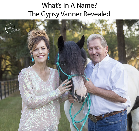 What’s In A Name? The Gypsy Vanner Revealed Dennis and his wife, Erin Mahoney