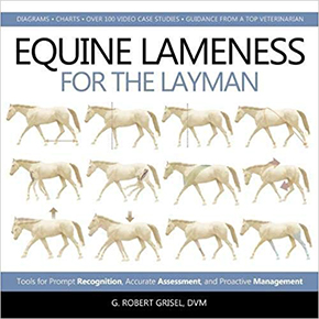 Equine Lameness