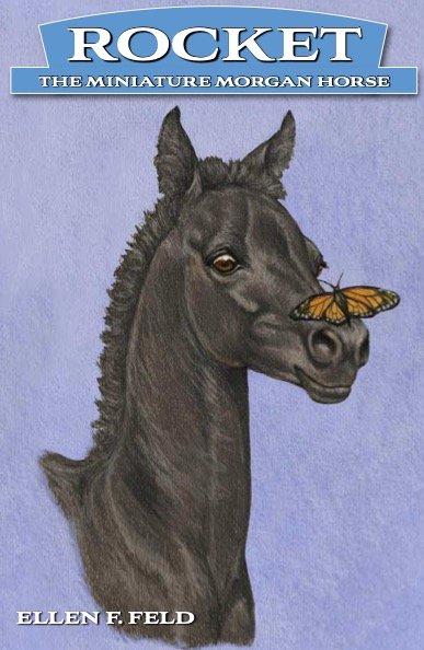 Rocket The Miniature Morgan Horse By Ellen F. Feld 